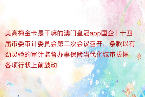 美高梅金卡是干嘛的澳门皇冠app国企 | 十四届市委审计委员会第二次会议召开，条款以有劲灵验的审计监督办事保险当代化城市拔擢各项行状上前鼓动
