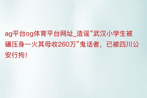 ag平台og体育平台网址_造谣“武汉小学生被碾压身一火其母收260万”鬼话者，已被四川公安行拘！