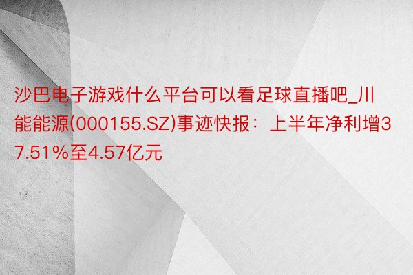 沙巴电子游戏什么平台可以看足球直播吧_川能能源(000155.SZ)事迹快报：上半年净利增37.51%至4.57亿元
