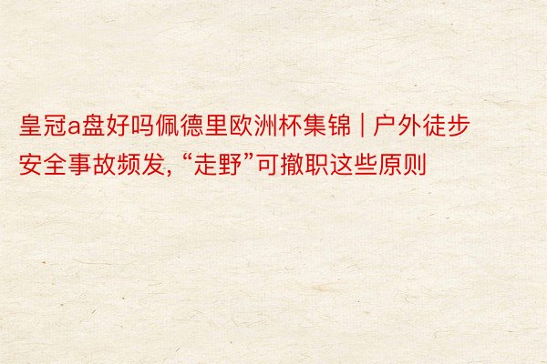 皇冠a盘好吗佩德里欧洲杯集锦 | 户外徒步安全事故频发, “走野”可撤职这些原则