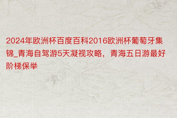 2024年欧洲杯百度百科2016欧洲杯葡萄牙集锦_青海自驾游5天凝视攻略，青海五日游最好阶梯保举