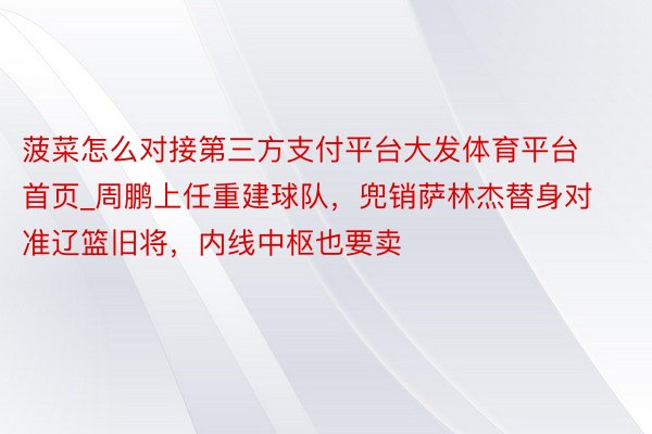 菠菜怎么对接第三方支付平台大发体育平台首页_周鹏上任重建球队，兜销萨林杰替身对准辽篮旧将，内线中枢也要卖