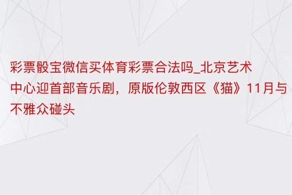 彩票骰宝微信买体育彩票合法吗_北京艺术中心迎首部音乐剧，原版伦敦西区《猫》11月与不雅众碰头