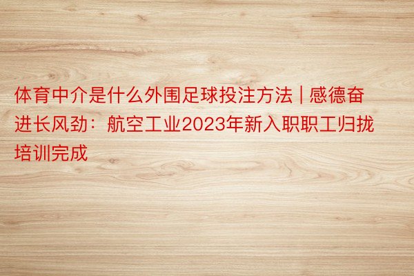 体育中介是什么外围足球投注方法 | 感德奋进长风劲：航空工业2023年新入职职工归拢培训完成